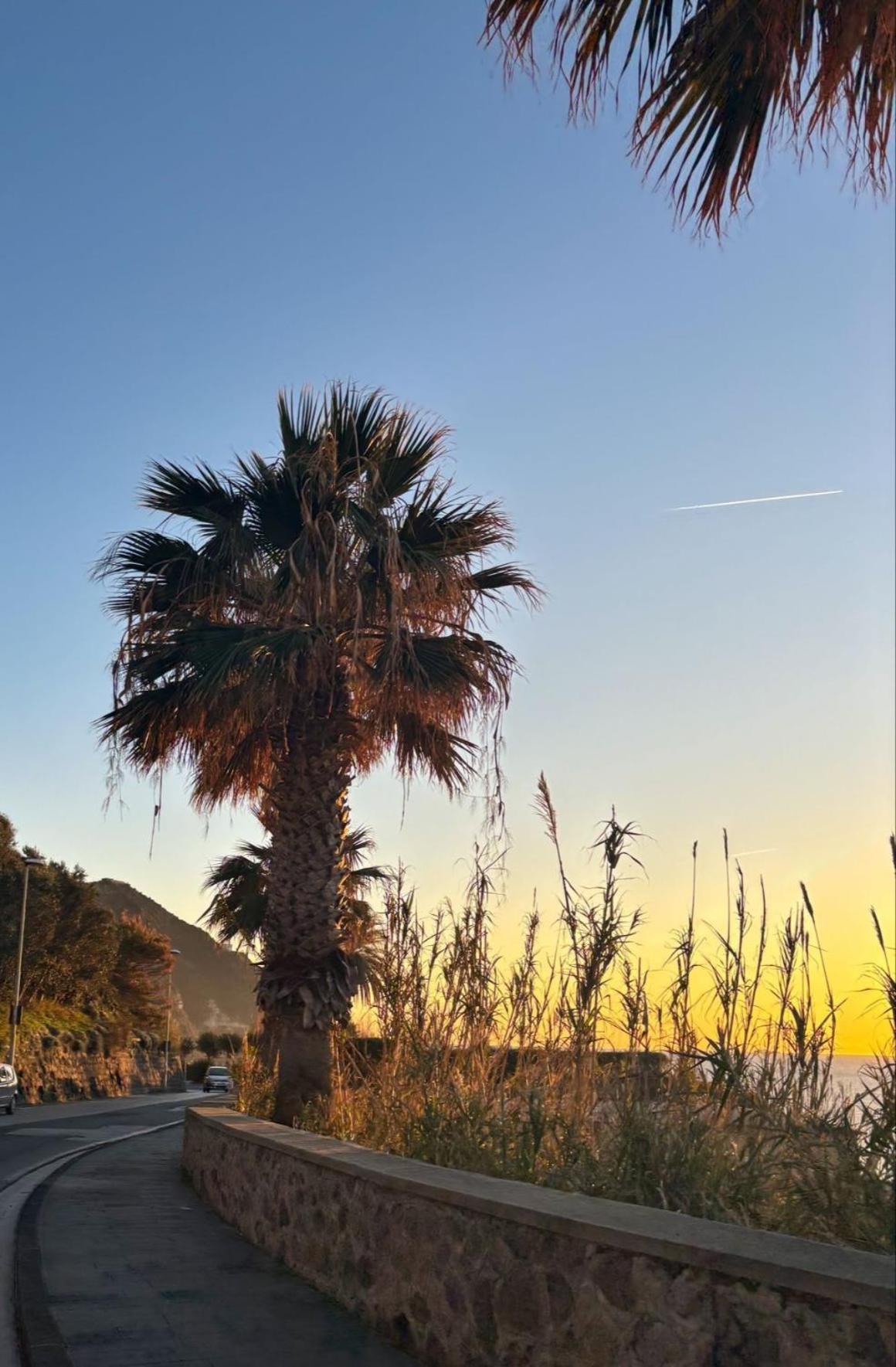 Appartamento A Due Passi Dal Mare Ischia Exteriör bild